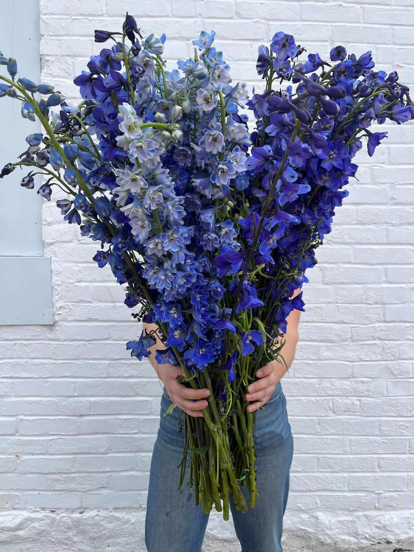Are we posting delphinium two weeks in a row? Yes. That&rsquo;s because it&rsquo;s the most gorgeous delph we&rsquo;ve ever seen. Slide through to see cupcake ranunculus, peony tulips and more for this weekends flower trucks 💐