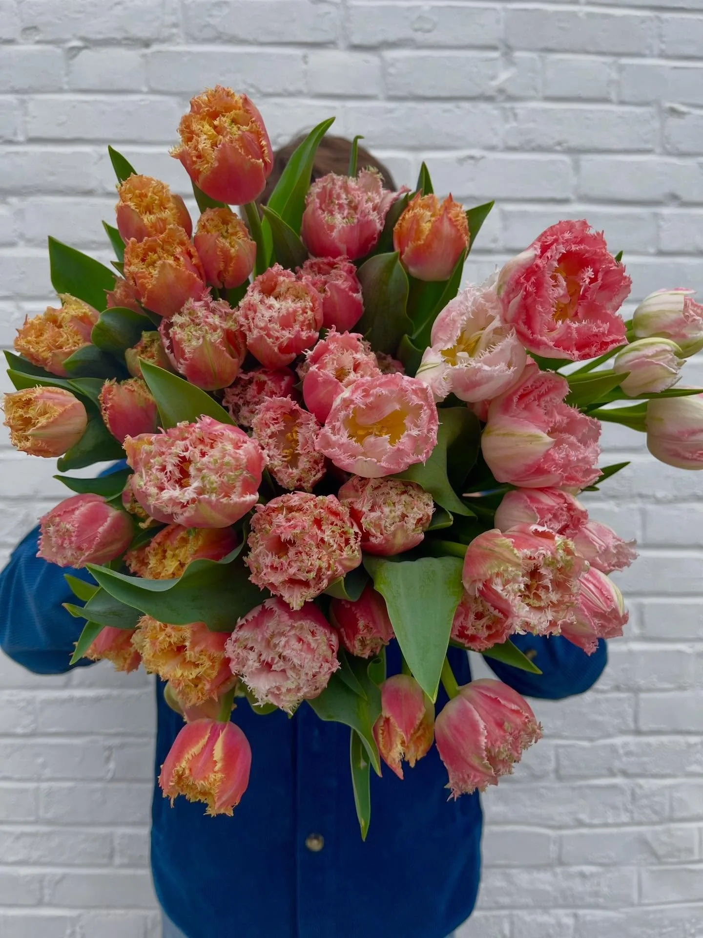 Everyone&rsquo;s talking about peony tulips at TJs but have you met a frilly tulip?? There&rsquo;s only one place to get them this weekend&hellip;the flower trucks. 😉 

We&rsquo;ve also got lilies, pink hydrangeas, feverfew, delphinium and more!

Fi