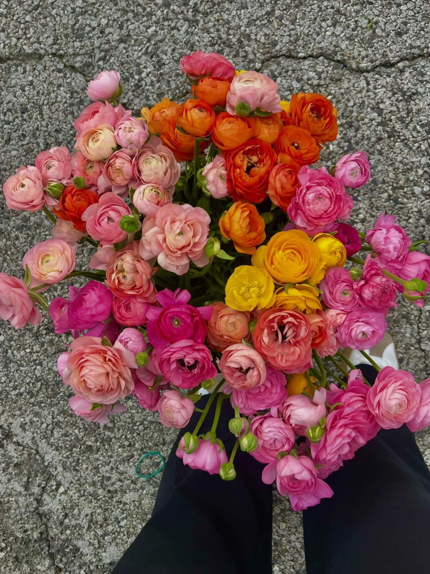 If you haven&rsquo;t gotten your hands on the &ldquo;it flower&rdquo; of spring, now is your chance! 

Ranunculus bouquets: They&rsquo;re bright, they&rsquo;re adorable, and honestly&hellip; they deserve a moment.

Show them some love today.