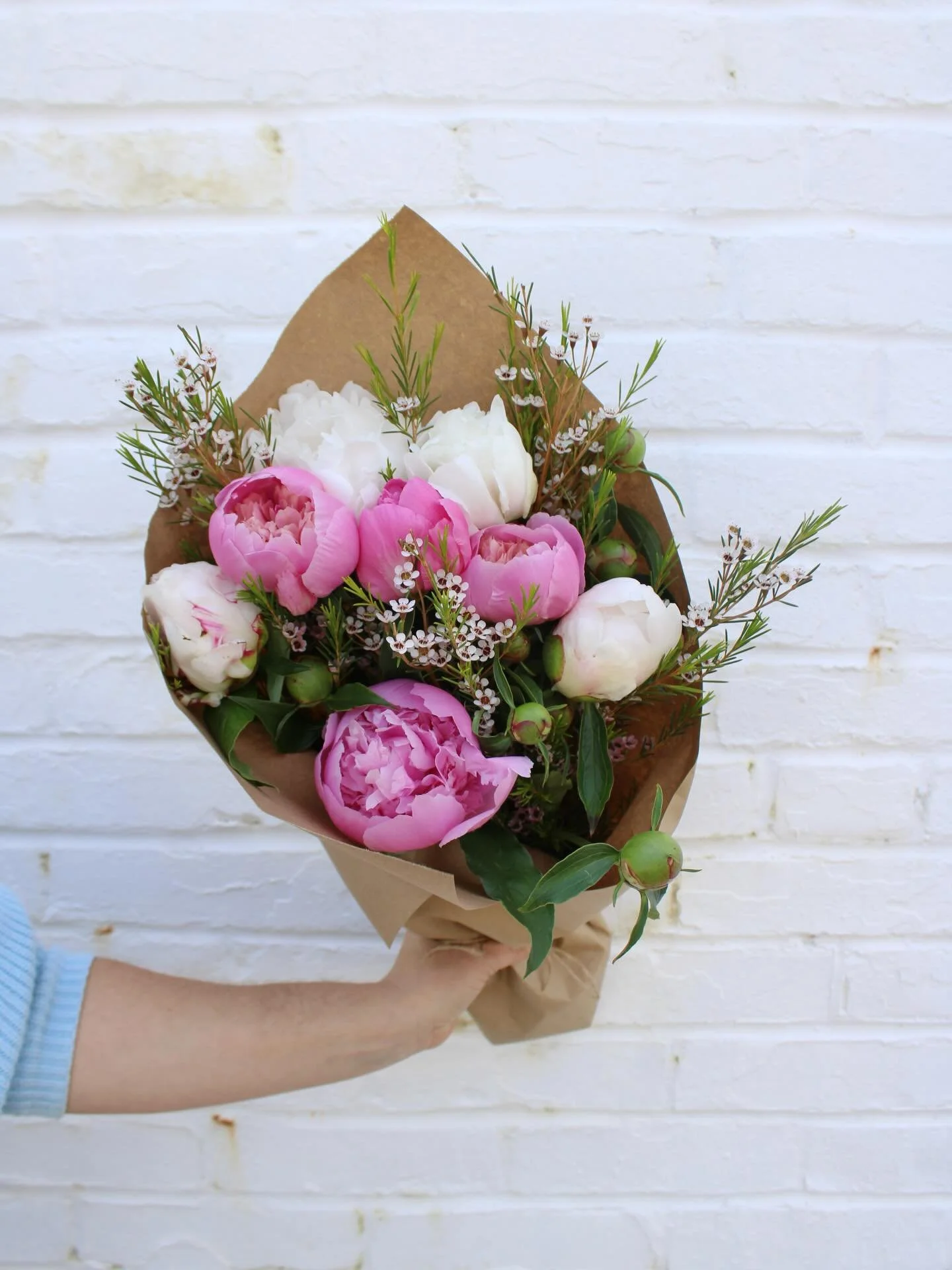 Every year you ask if we have peonies for Mother&rsquo;s Day. Every year we say no. 🥲

This year&hellip; it&rsquo;s a YES. We&rsquo;ve got enough peonies to make your Mother&rsquo;s Day dreams happen. 💫