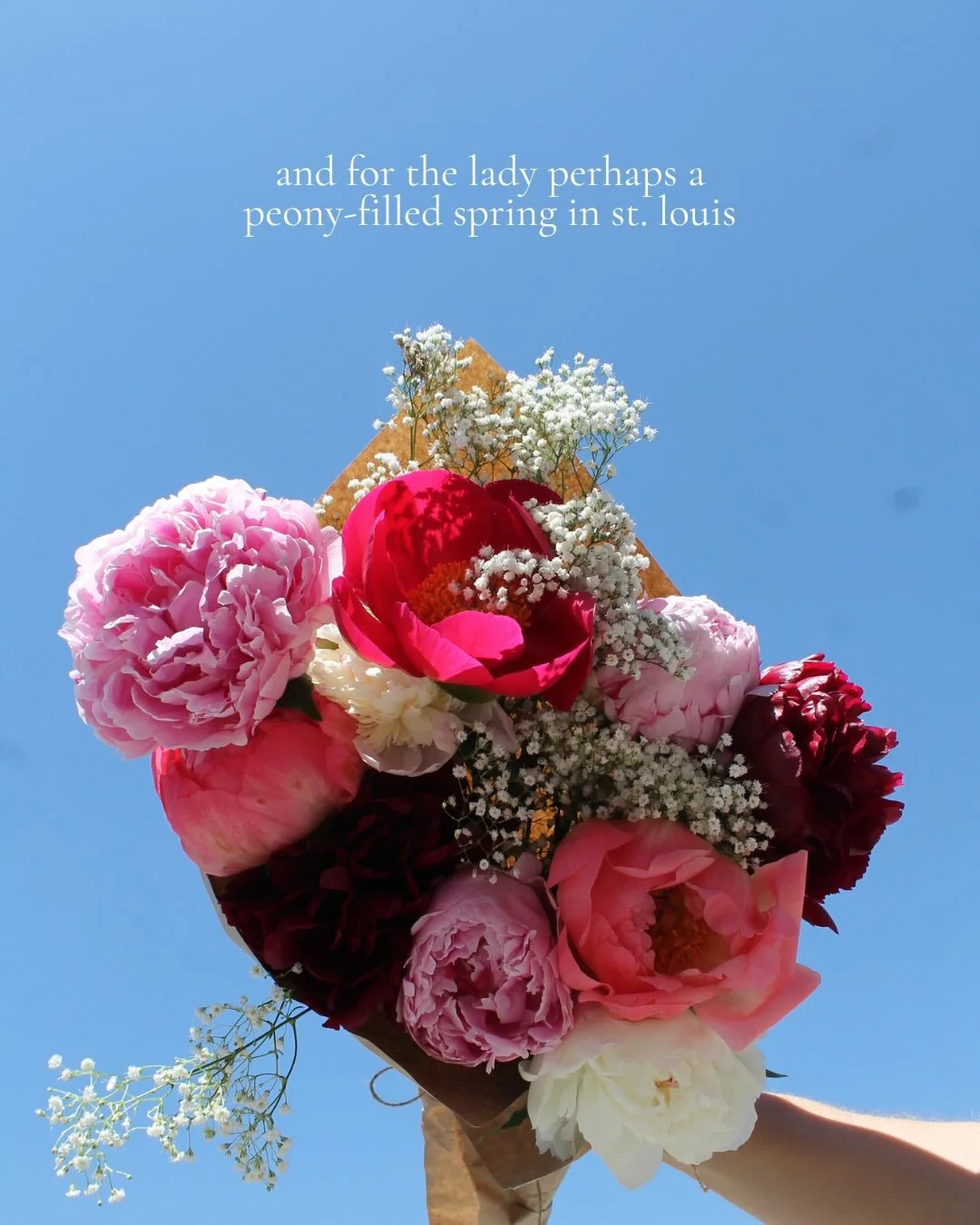 Perhaps peony season in St. Louis???