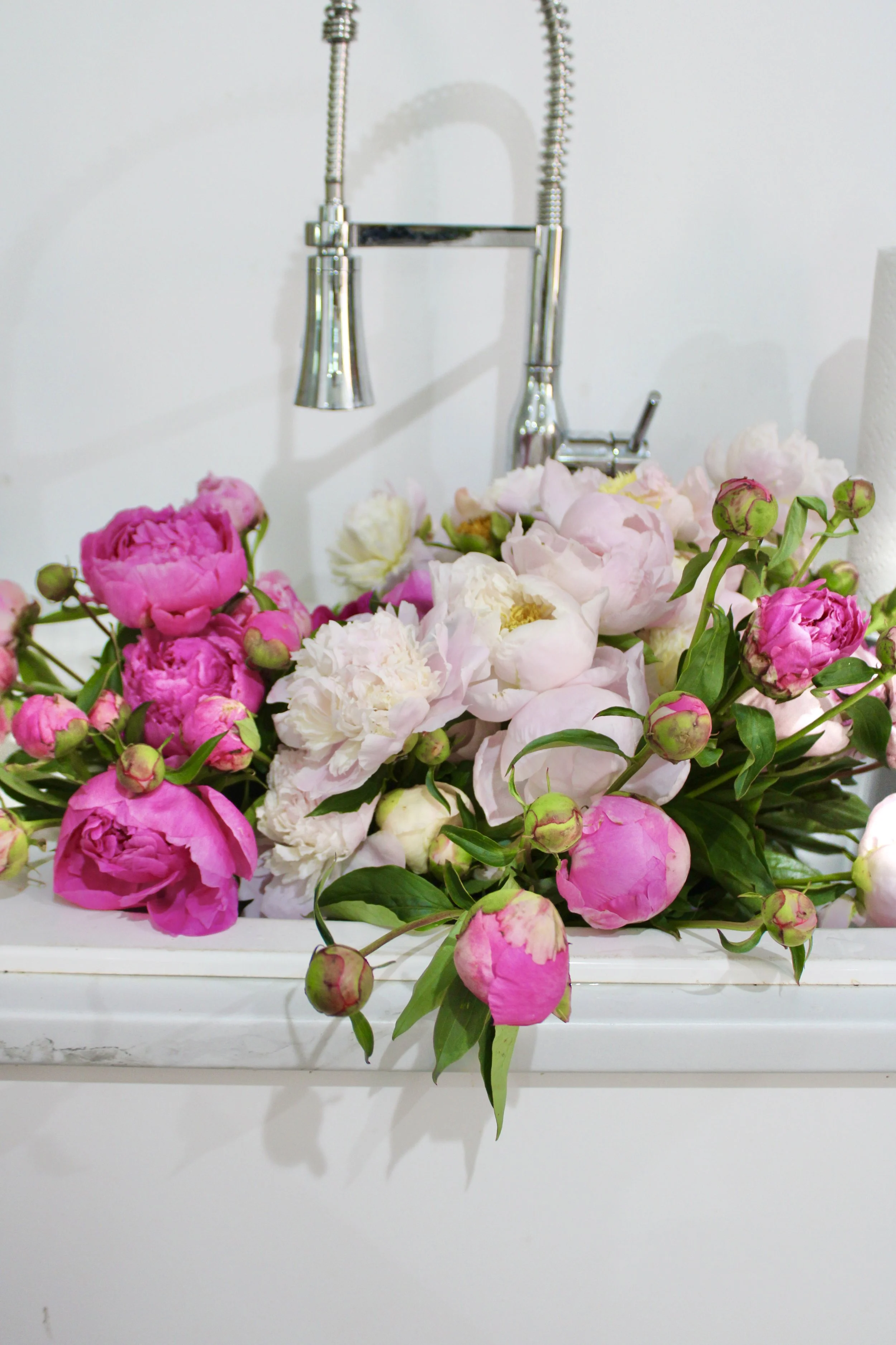 Fresh pink and white peony bouquets displayed on a kitchen sink countertop in a St. Louis home.