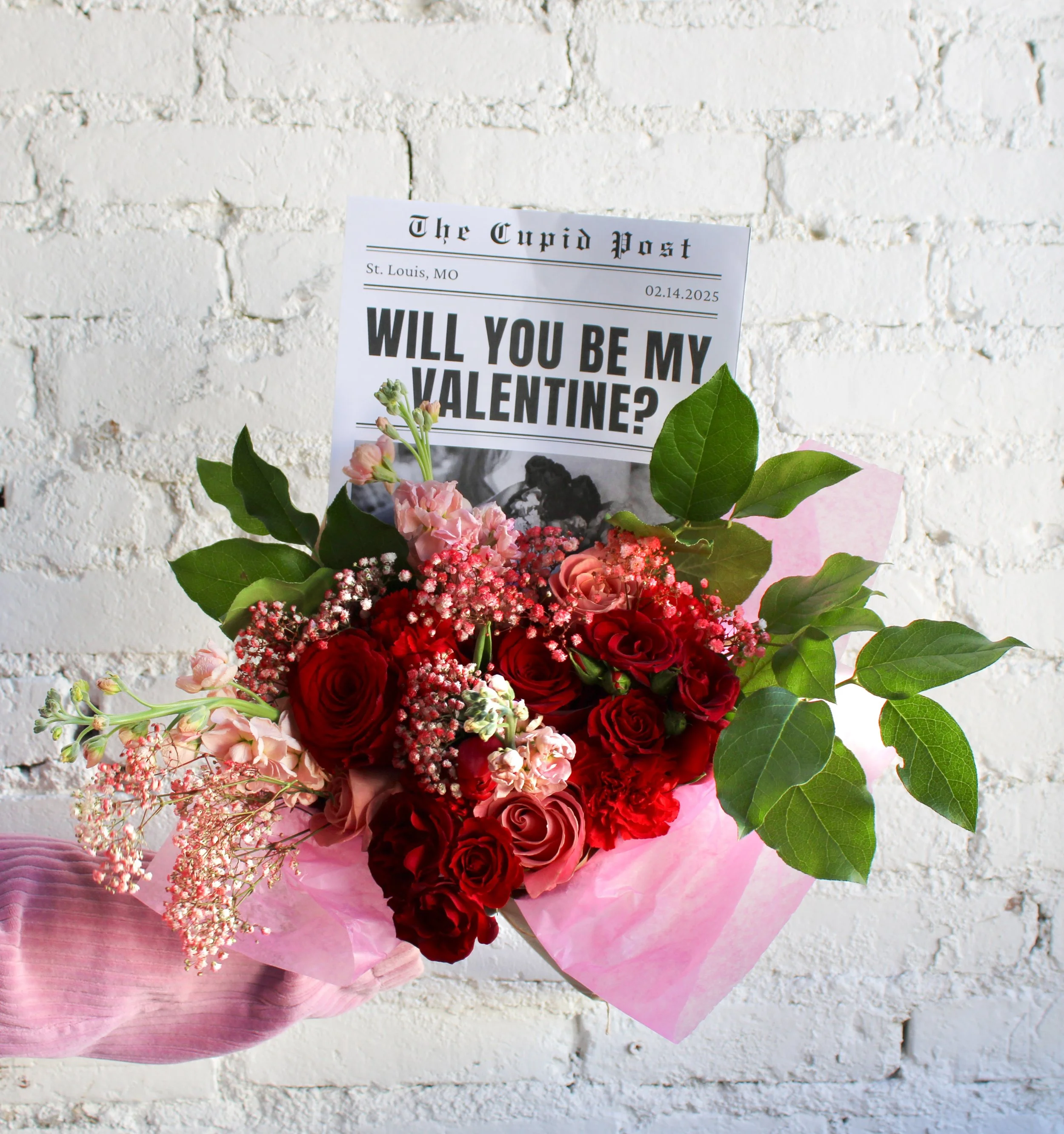 Will You Be My Valentine?