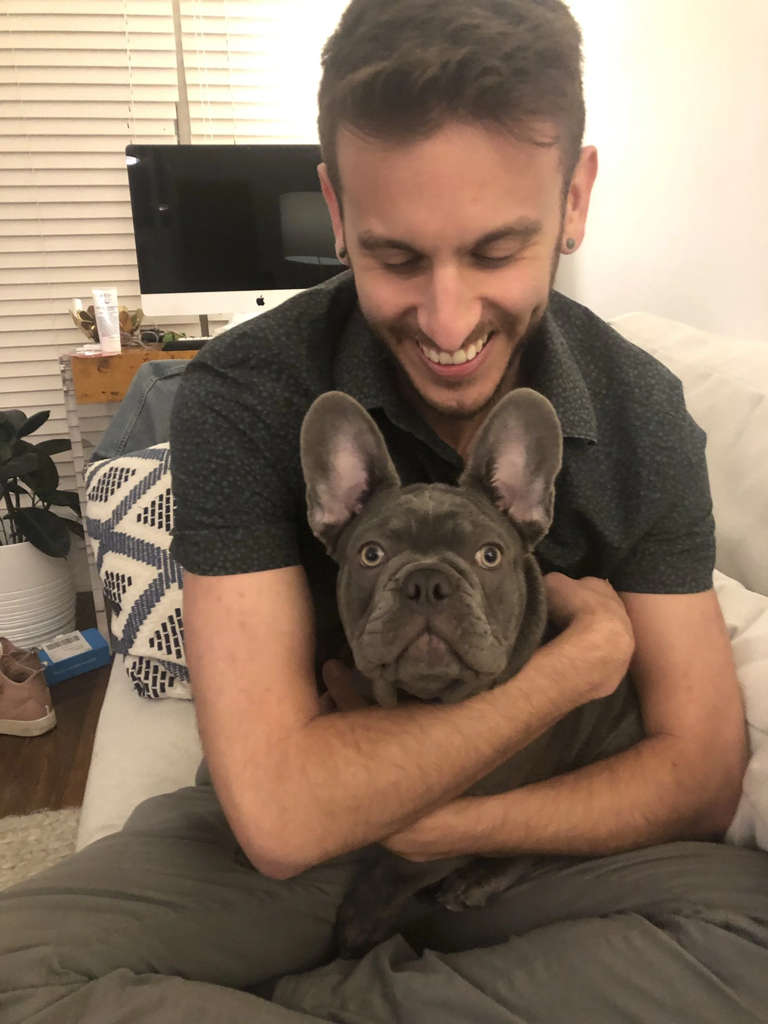 When virtual dog training might actually be a better choice