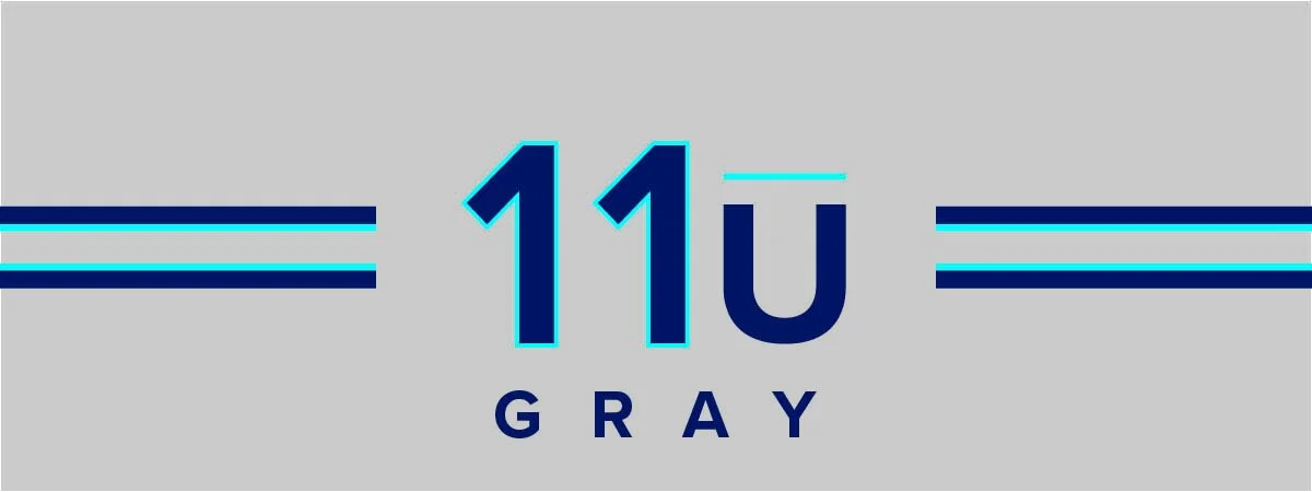 IMPACT_11_GRAY.jpg
