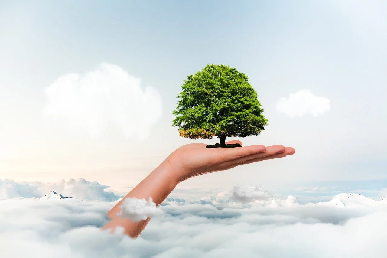 Creation Care Sunday