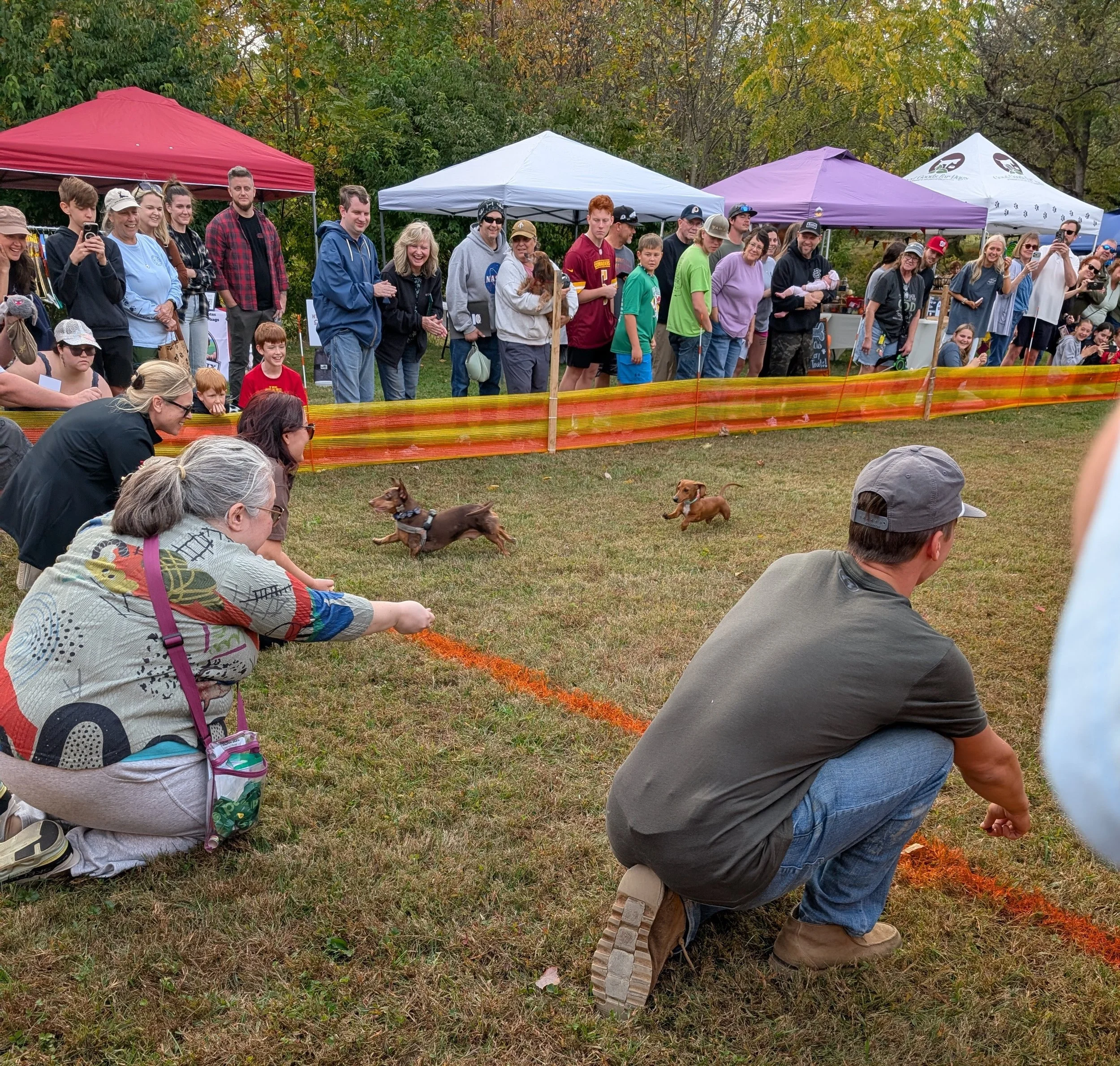 Blessing of the animals 2025 2.jpg