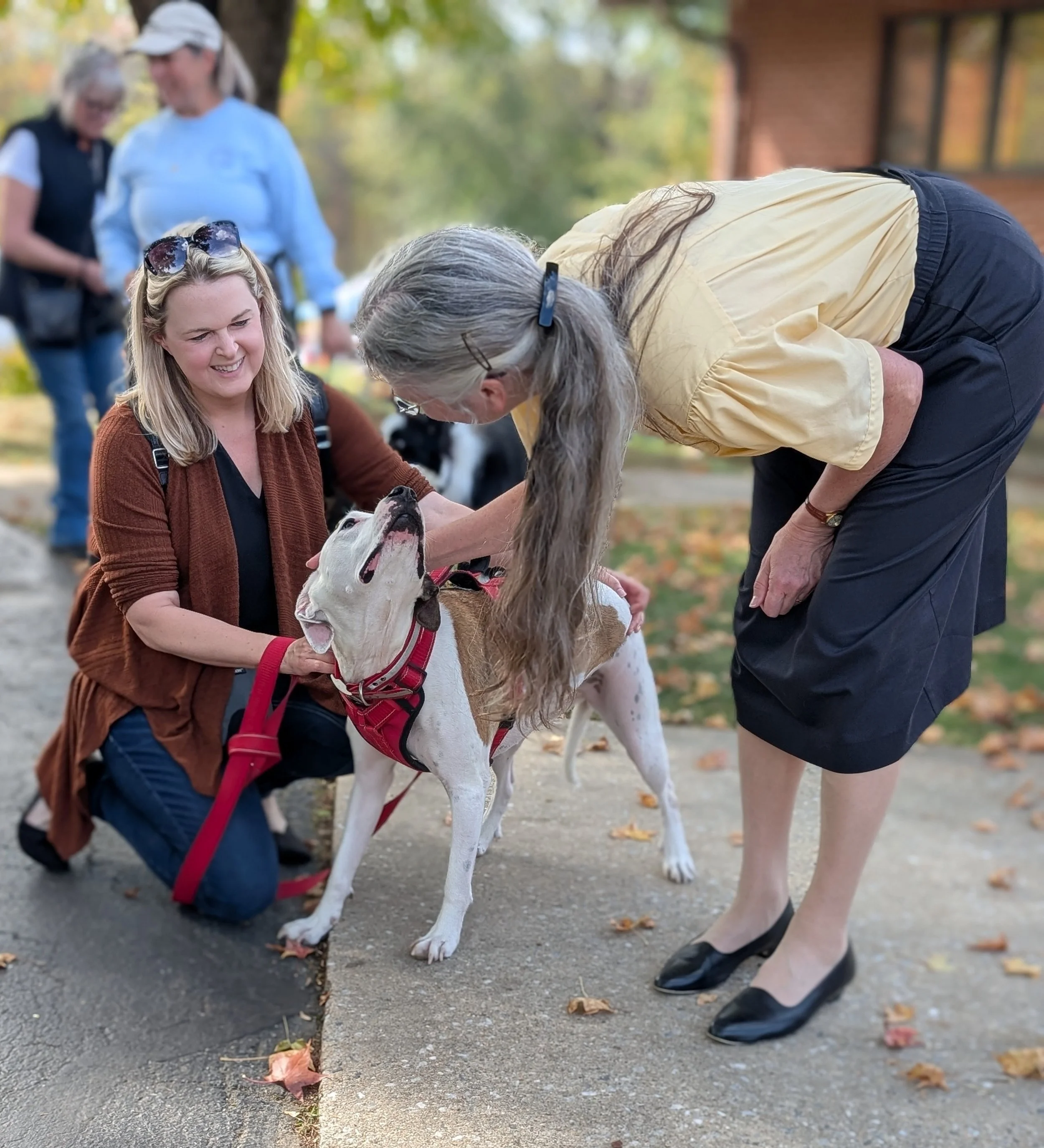 Blessing of the Animals 2025.jpg