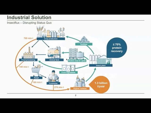 Insectflux: Converting Organic Waste into Assets; Building Circular Economies Through Insect Farming