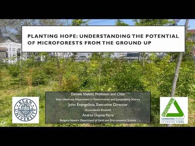 Microforests, Big Change: Growing Ecological Resilience in Urban Communities