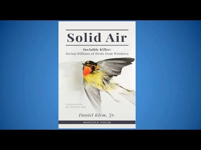 Birds and Glass: An Important Conservation Issue