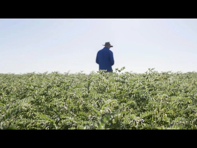 Grain of Hope: A Farmer-Led Response to the Global Hunger Crisis