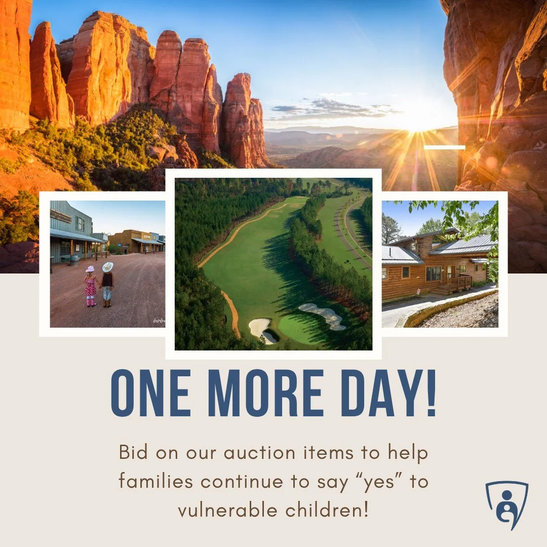 You were going to spend the money anyway&hellip; might as well make it count! 😉

Our auction is full of great finds! When you bid, you get something awesome AND your bid helps Defend support local foster, adoptive, and kinship families.

Basically&h