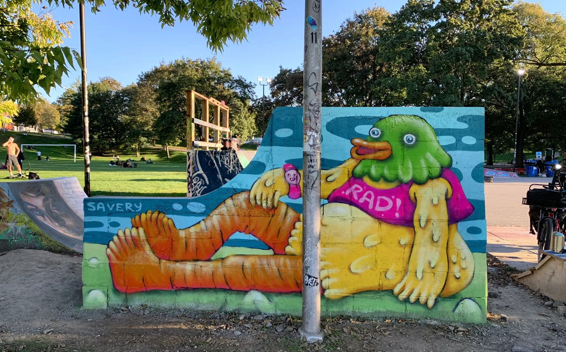 Rad Duck.JPG