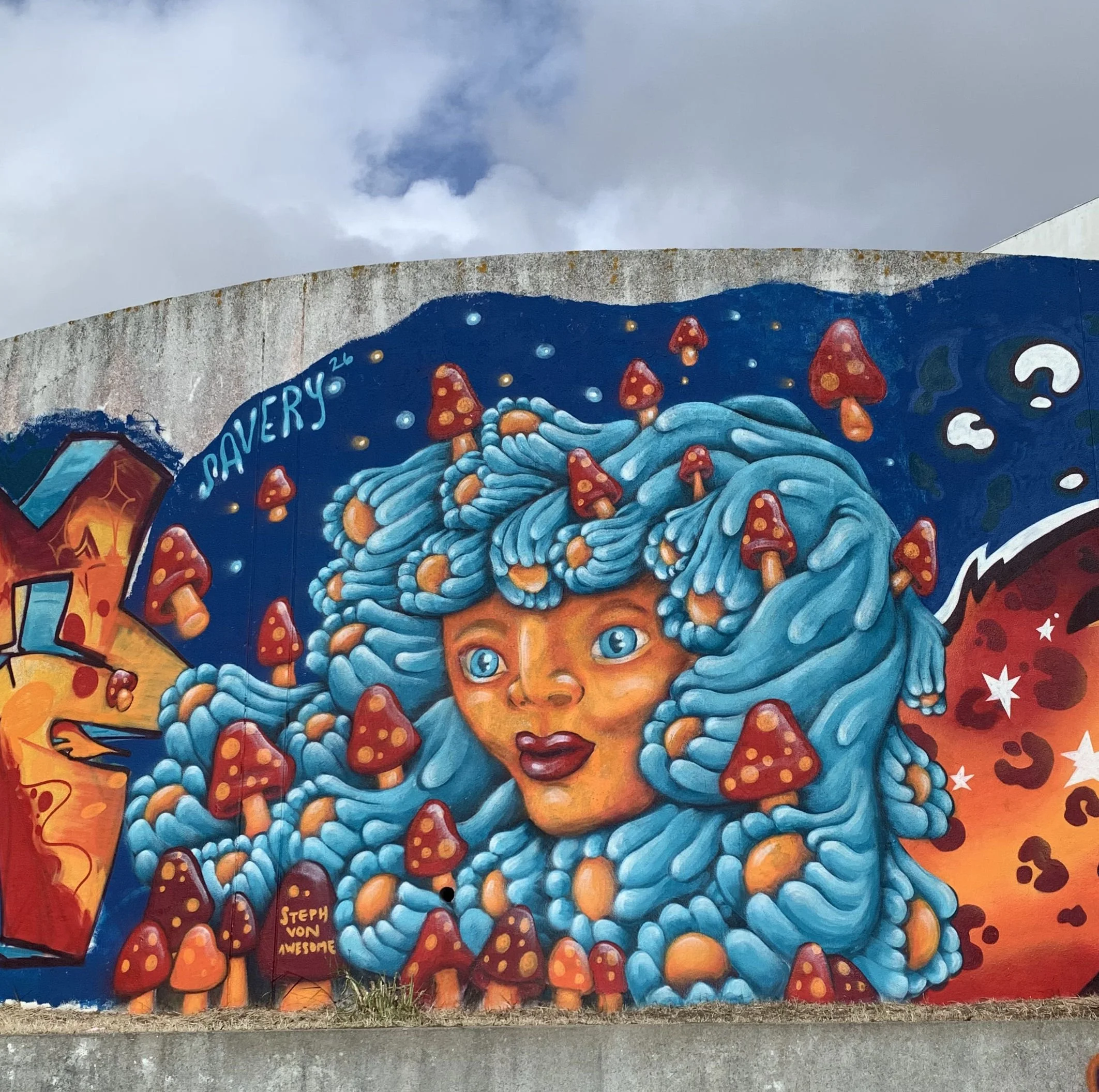 Mane Mycelium - Lisbon 2026.jpg