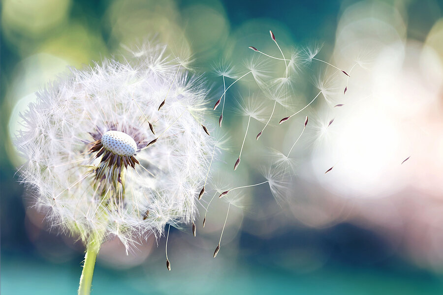 remembering vs. Experiencing