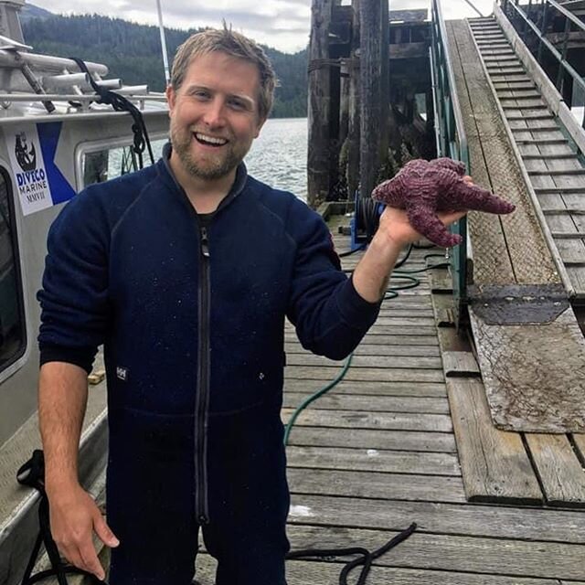 Patrick found an awfully large starfish at the  gas station! 😳 &mdash;

#diveco #workfinds #starfish #lovewhatyoudo #marinelife #commercialdiving #vancouverisland #bcjobs #divebc #mariner #adayinthelife #campbellriver