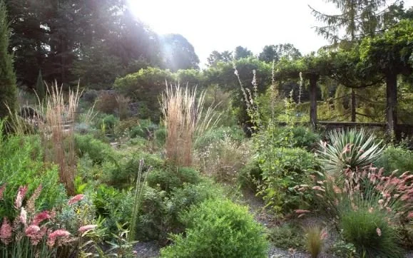 Perserve wild area.JPG