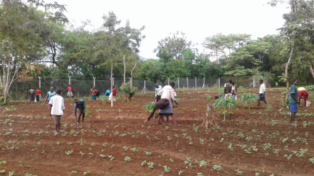 Mensa_permaculture2.jpg