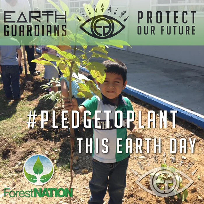 Calling All Earth Guardian Crews to Action: #PledgeToPlant Earth Day Challenge!
