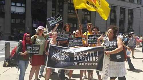 The Kings Of Democracy