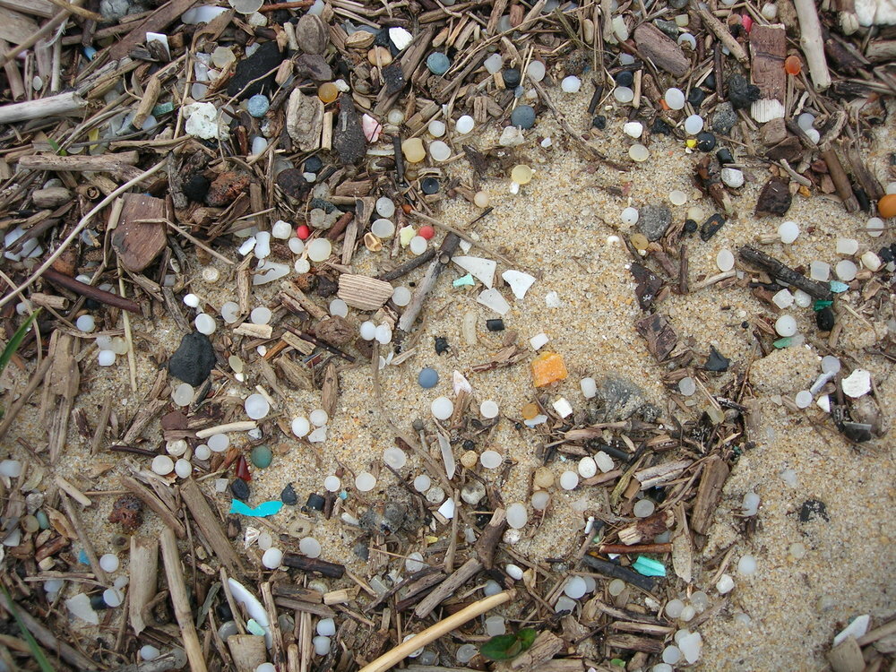 Granulés_plastiques_industriels_sur_une_plage_de_la_côte_Aquitaine.jpg