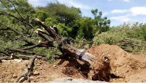 Call to Action From An EG Crew In Tamil Nadu