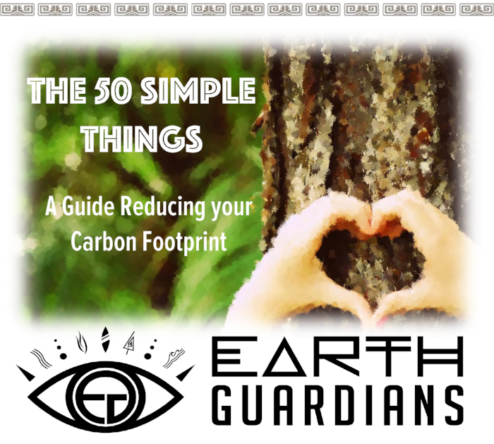 50 Simple Things: A Guide to Reducing your Carbon Footprint