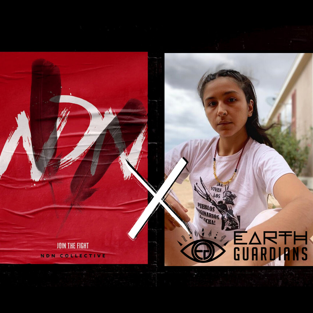 NDN:MayaLazzaro.png