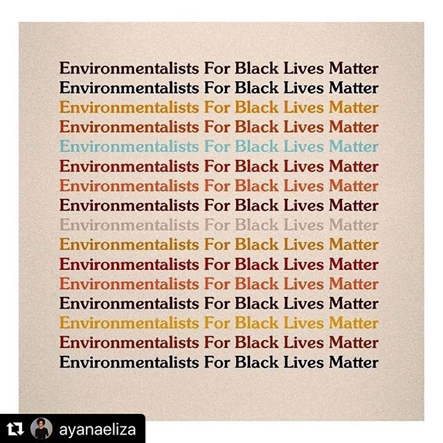 From @ayanaeliza regarding World Environment Day last week.

Environmentalists for #blacklivesmatter ・・・
#WorldEnvironmentDay reminder: You can&rsquo;t save the planet without black people. 🖤 This will take all of us.

So: Will you pledge to be an i