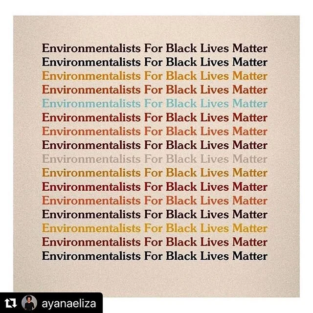 From @ayanaeliza regarding World Environment Day last week.

Environmentalists for #blacklivesmatter ・・・
#WorldEnvironmentDay reminder: You can&rsquo;t save the planet without black people. 🖤 This will take all of us.

So: Will you pledge to be an intersectional environmentalist? ✊🏽🌱 To value human diversity as much as you do biodiversity?

Images, definition, and pledge are by @greengirlleah &mdash; THANK YOU for giving voice and momentum to this critical concept.

#BlackLivesMatter