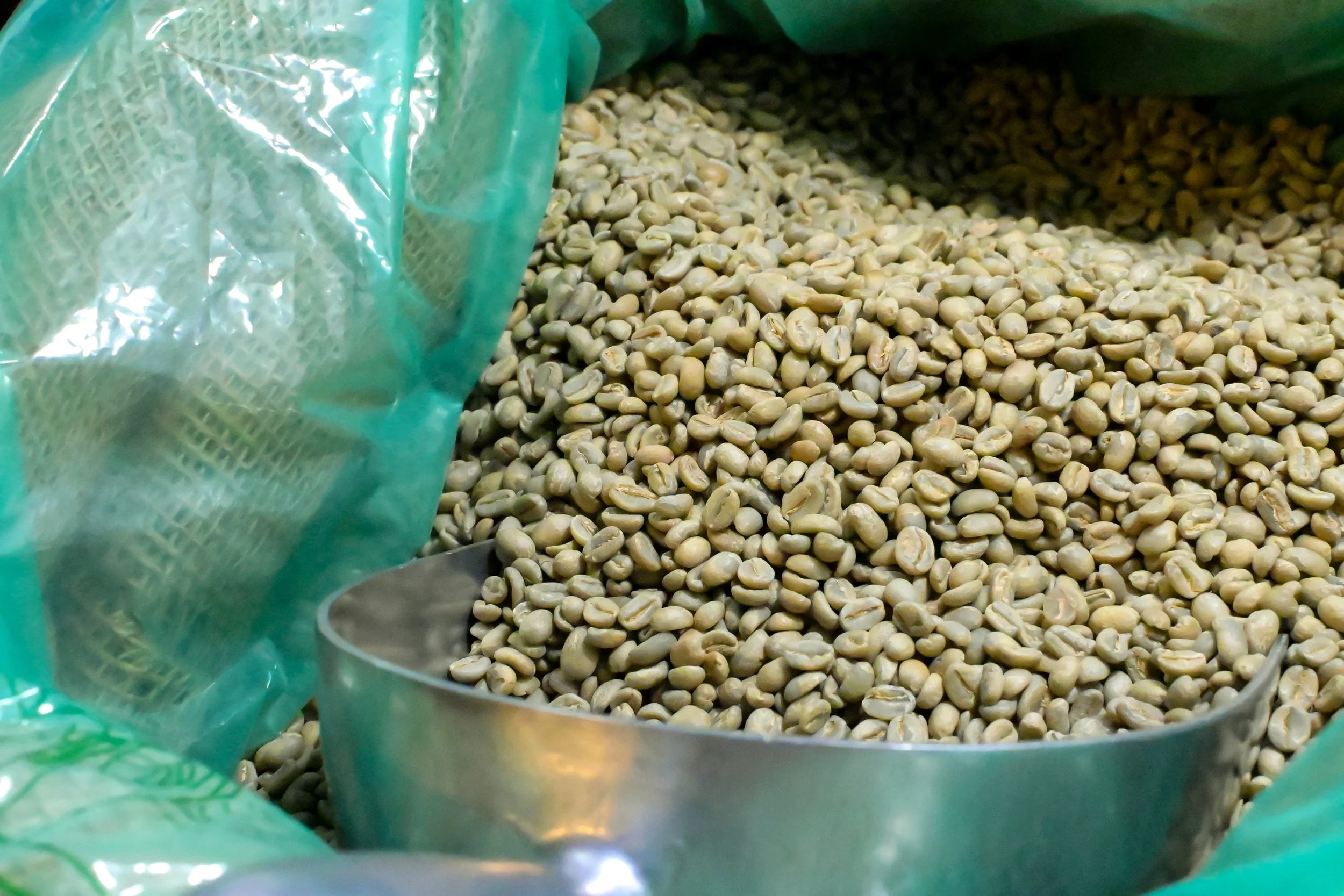 DSC_5007.JPG (Copy) (Copy)