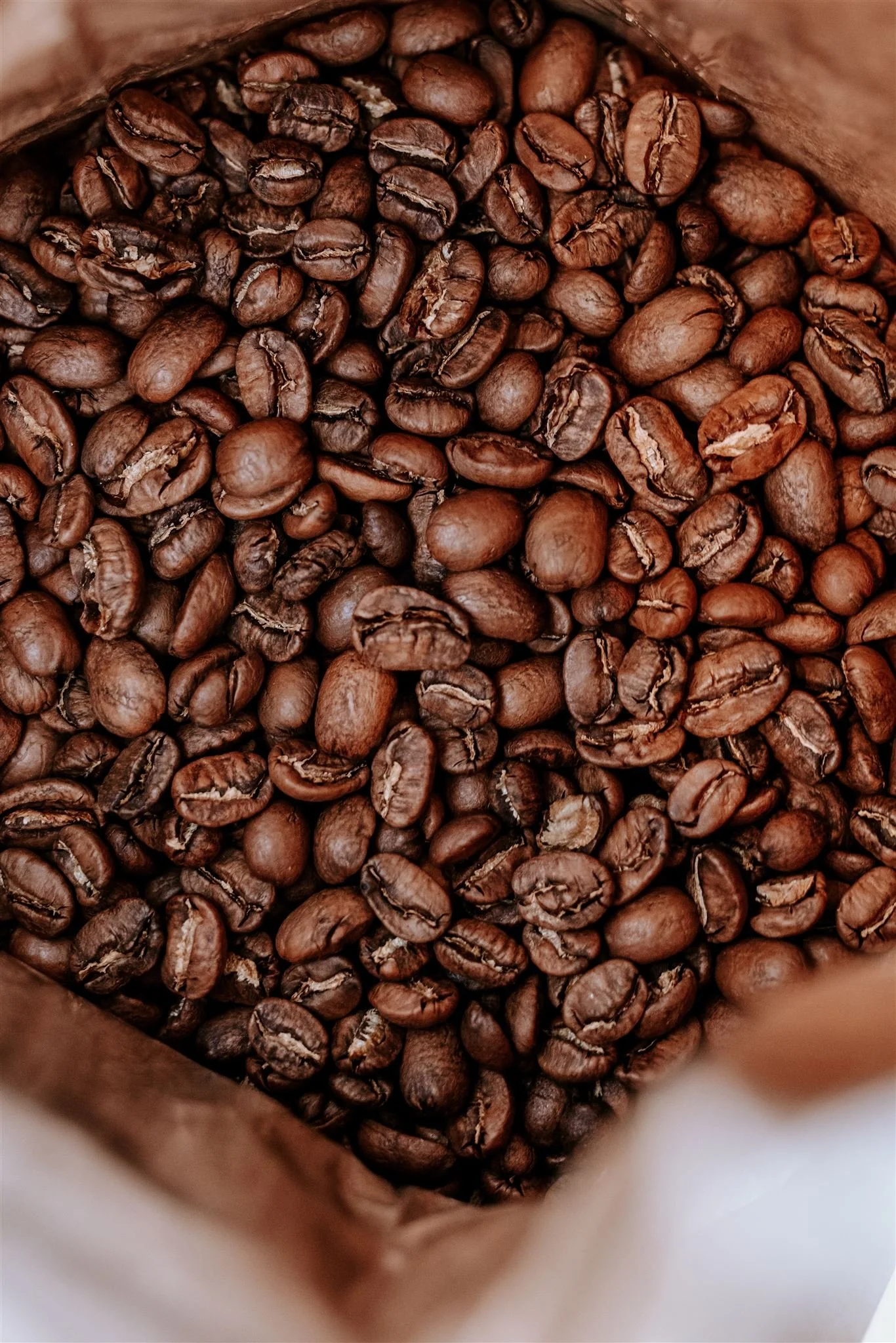 untitled (25 of 96)_websize.jpg