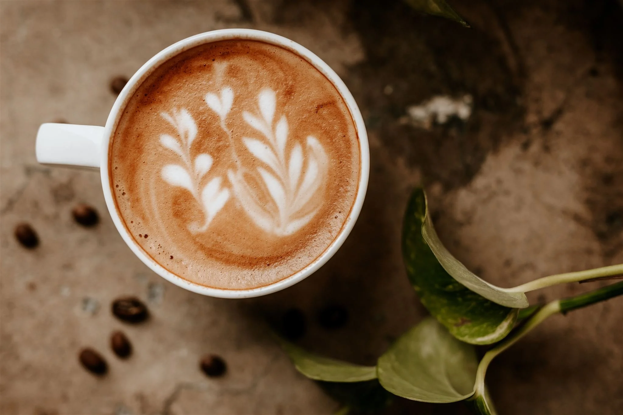 untitled (54 of 89)_websize.jpg