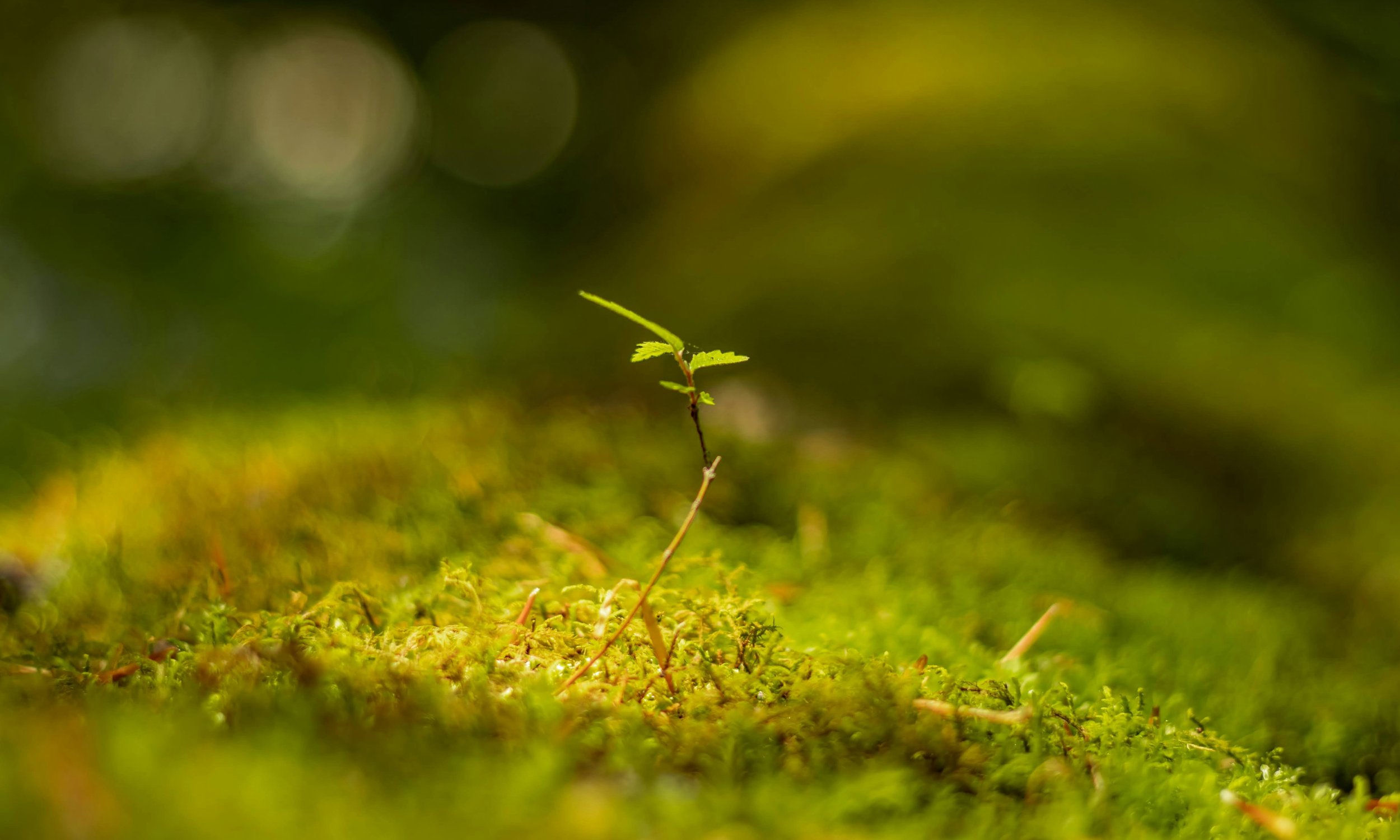 Garden &amp; Waste Management