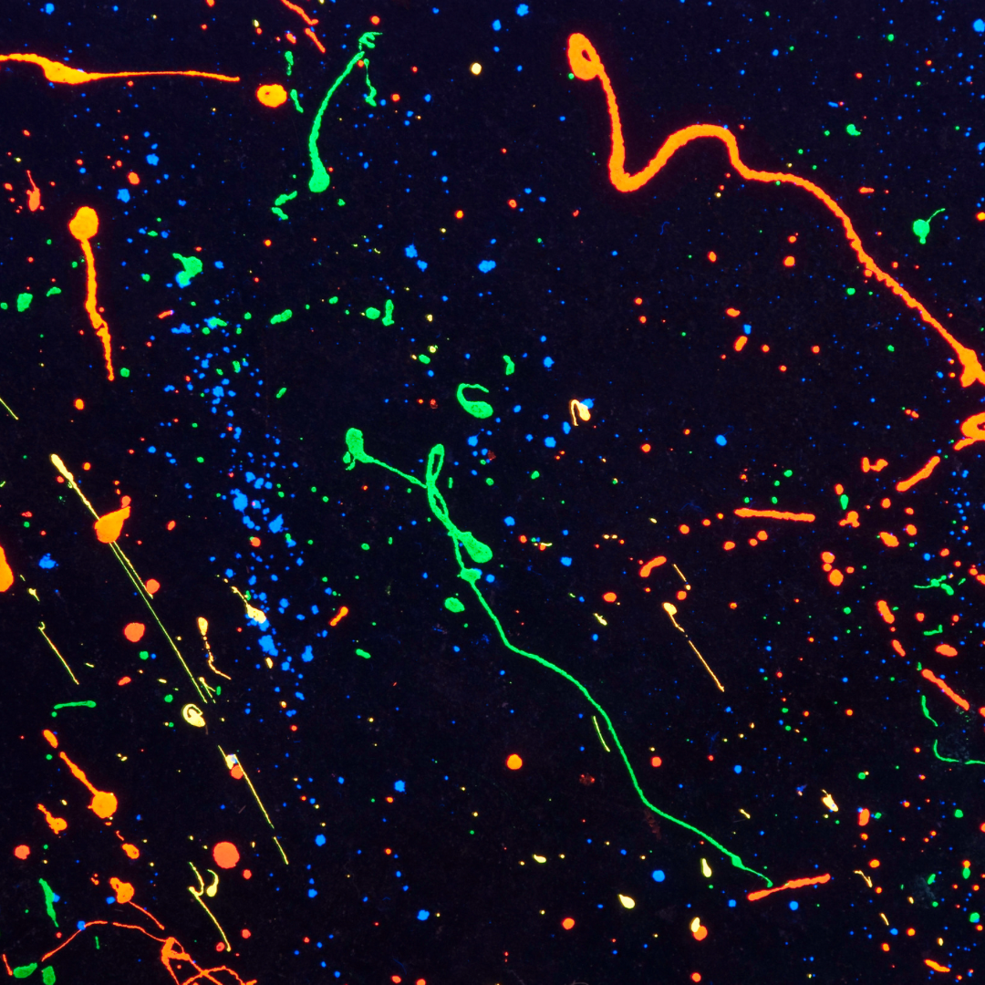 Splatter Room — Dream FREE Art