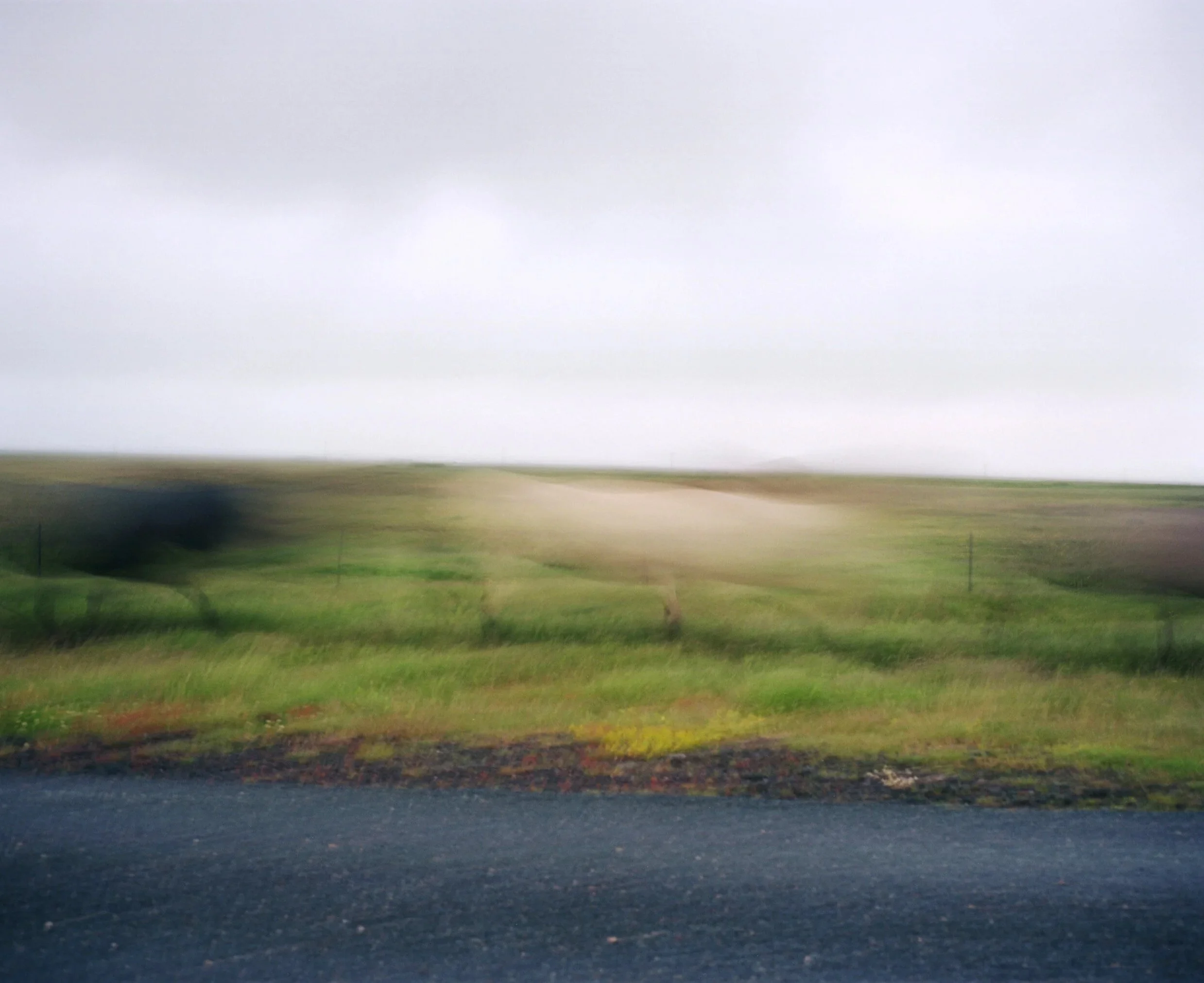 Blurred landscape of a grassy open field under an overcast sky, with a dirt path in the distance and a paved road in the foreground.