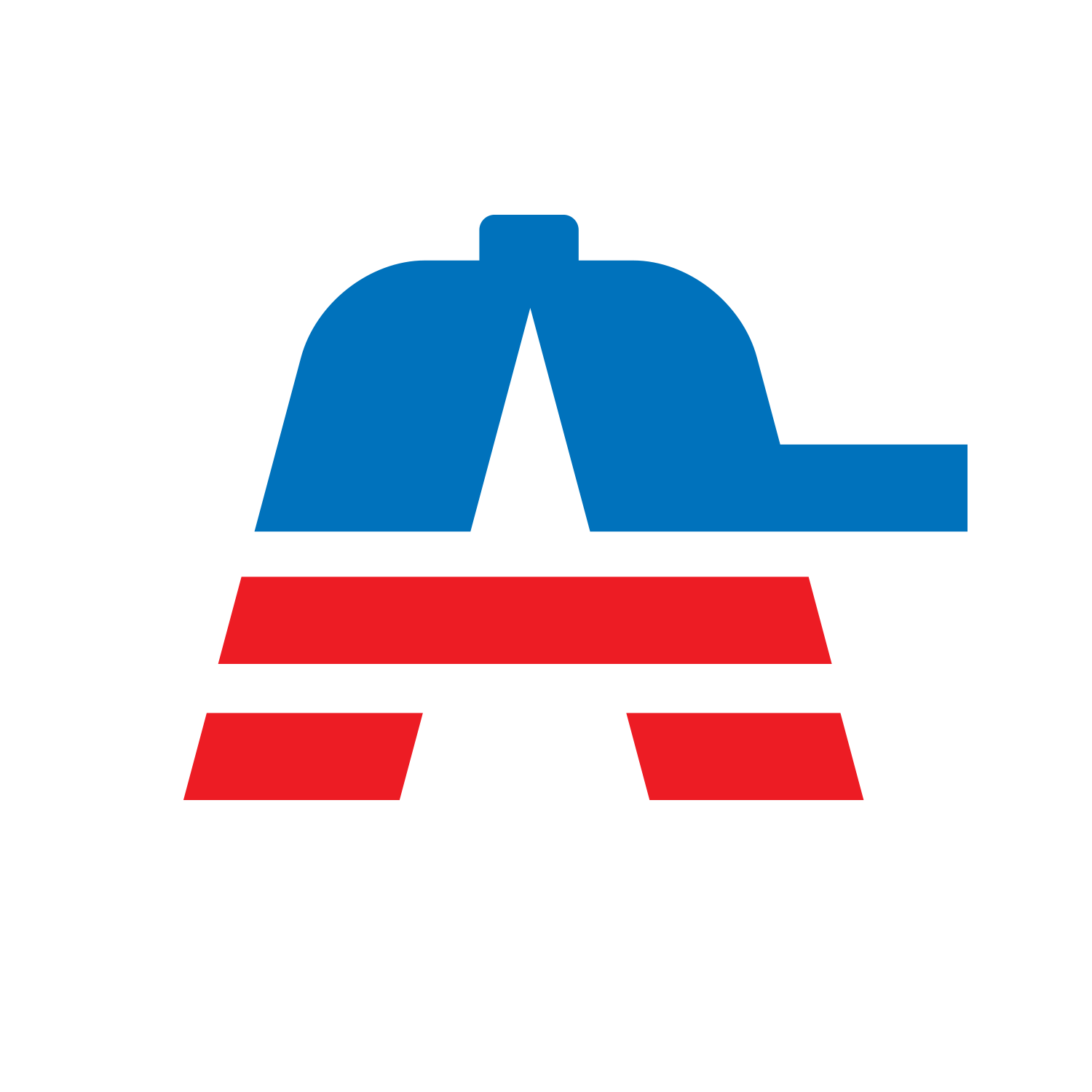Action Cap, 2013