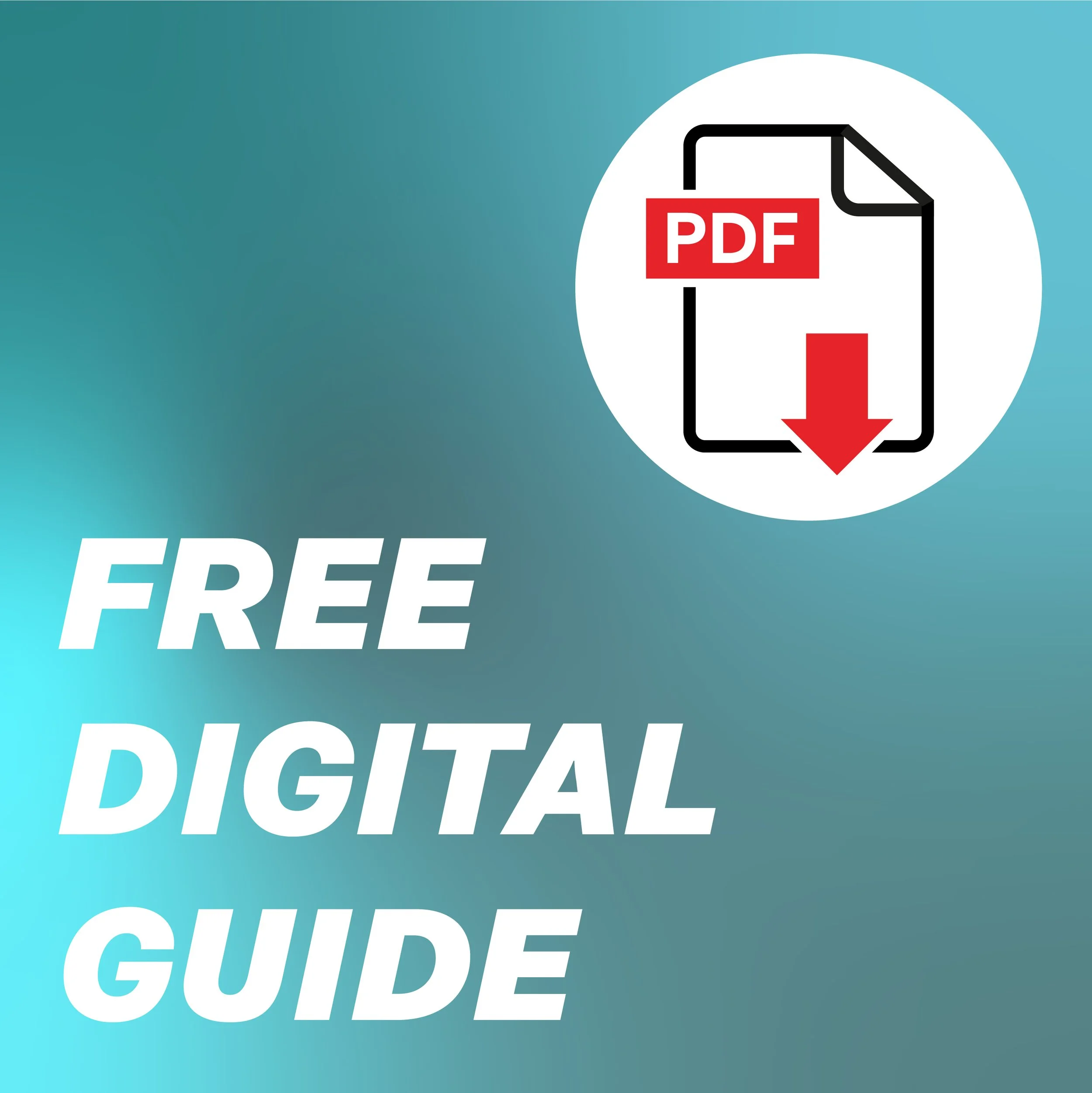 31566 WITH White Ink Setup guide_A5_Binder_DIGITAL DOWNLOAD-05.jpg