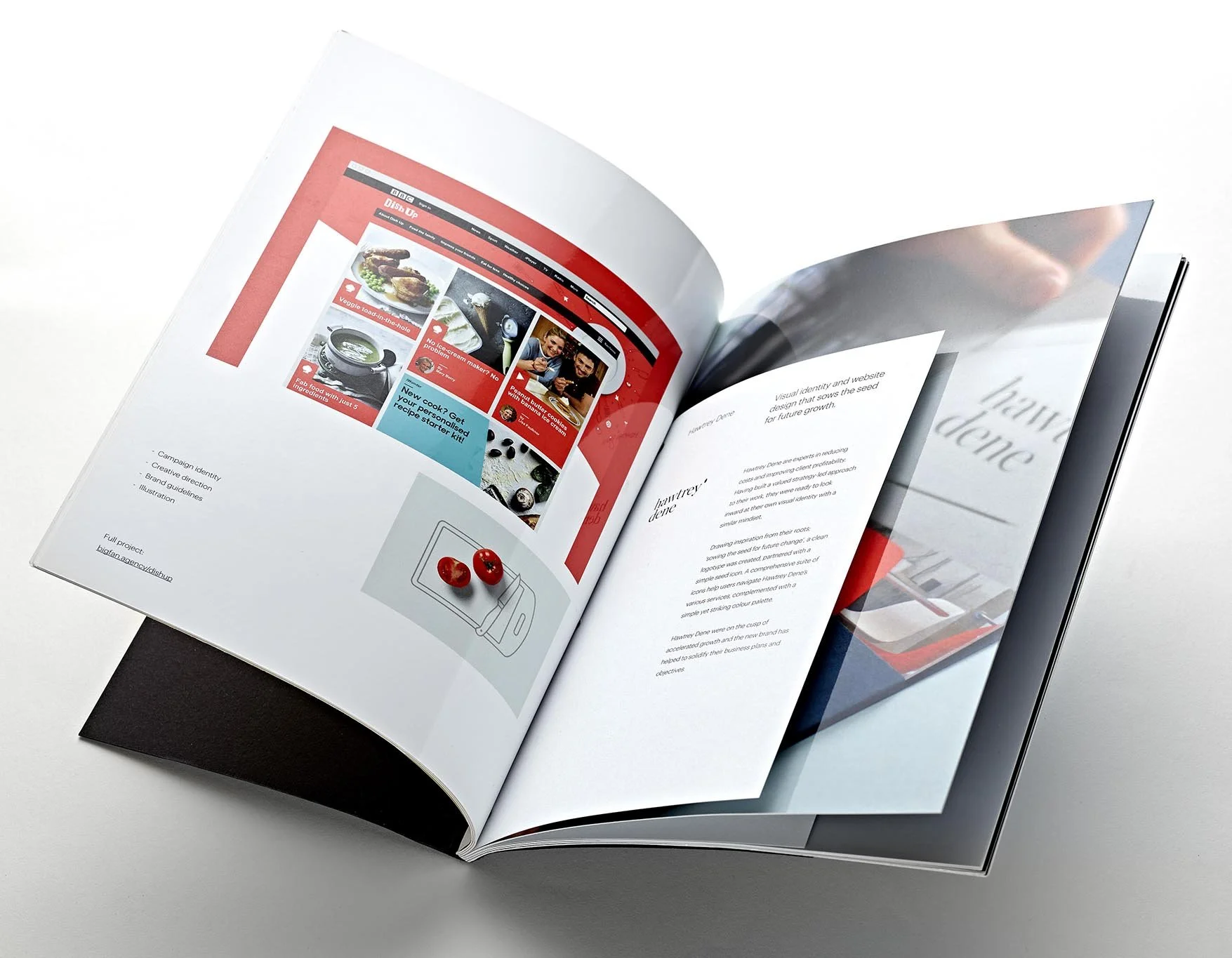 Big Fan. Digital print. Featuring foil and deboss to short cover. Short insert pages. Digital white ink. High Gloss Lamination. Swatch bound.