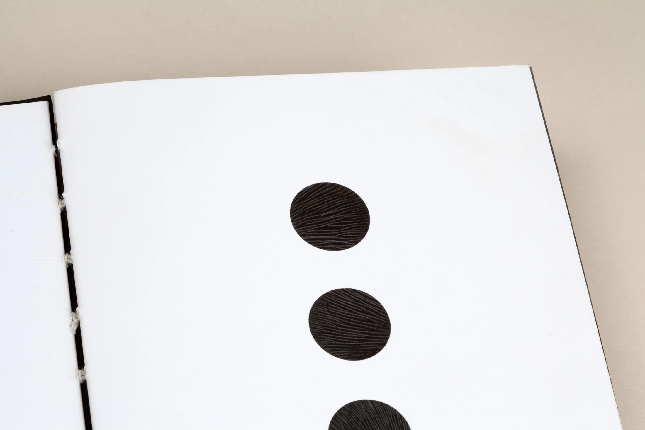 omniscopedetail2.jpg