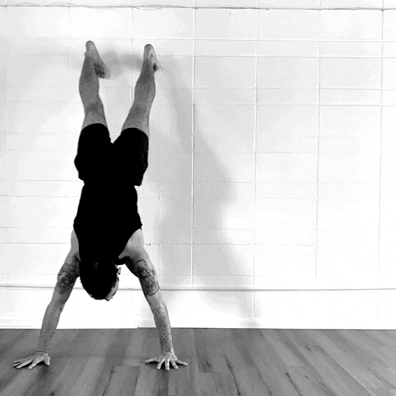 ezgif.com-optimize (22).gif