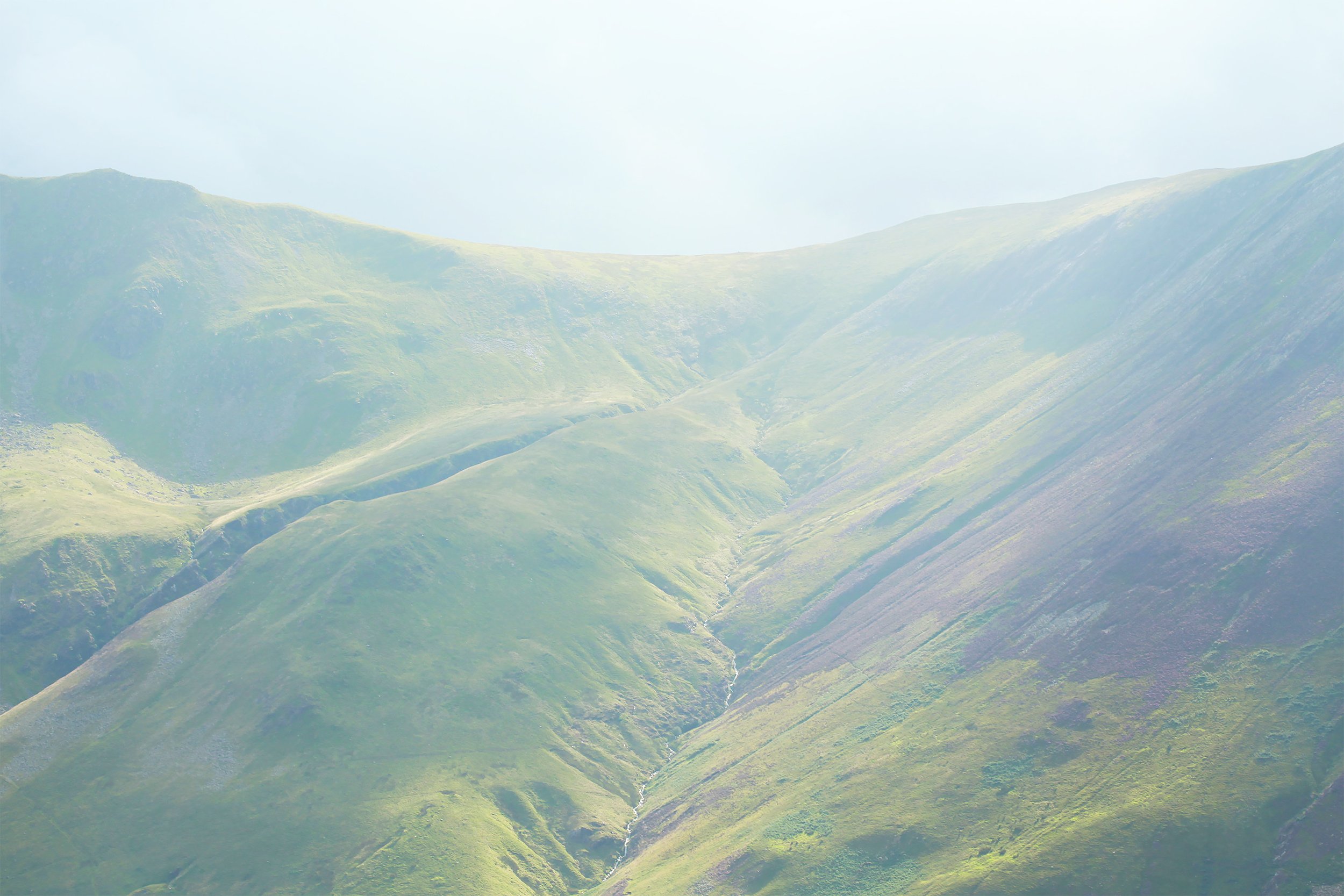 Archival Pigment Print