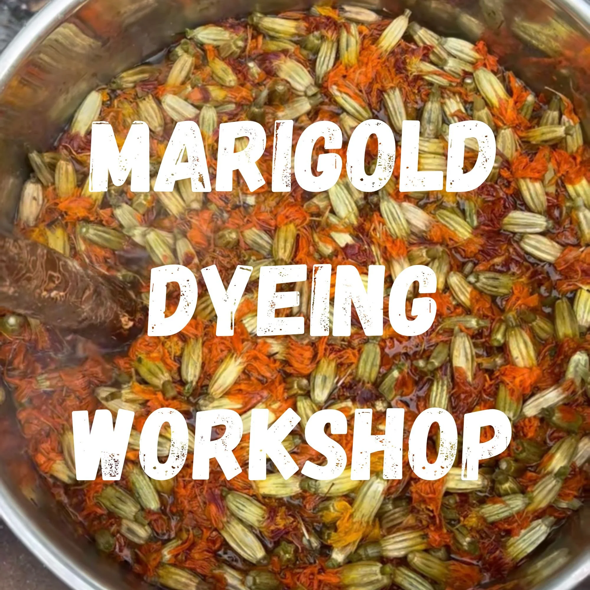 Kitchen scrap dyeing avocado pits & skins-4.jpg