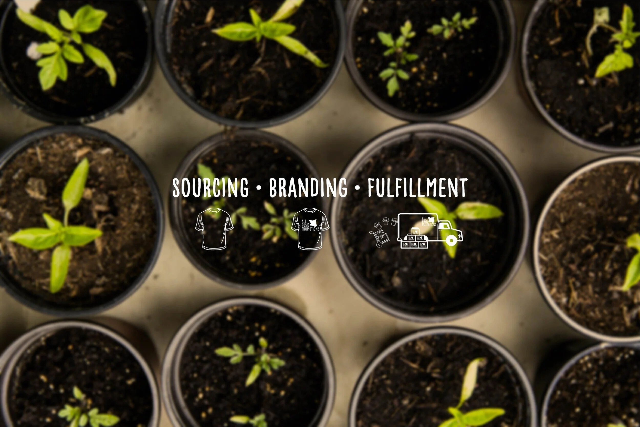 Website+Banner+Small+Final.jpg