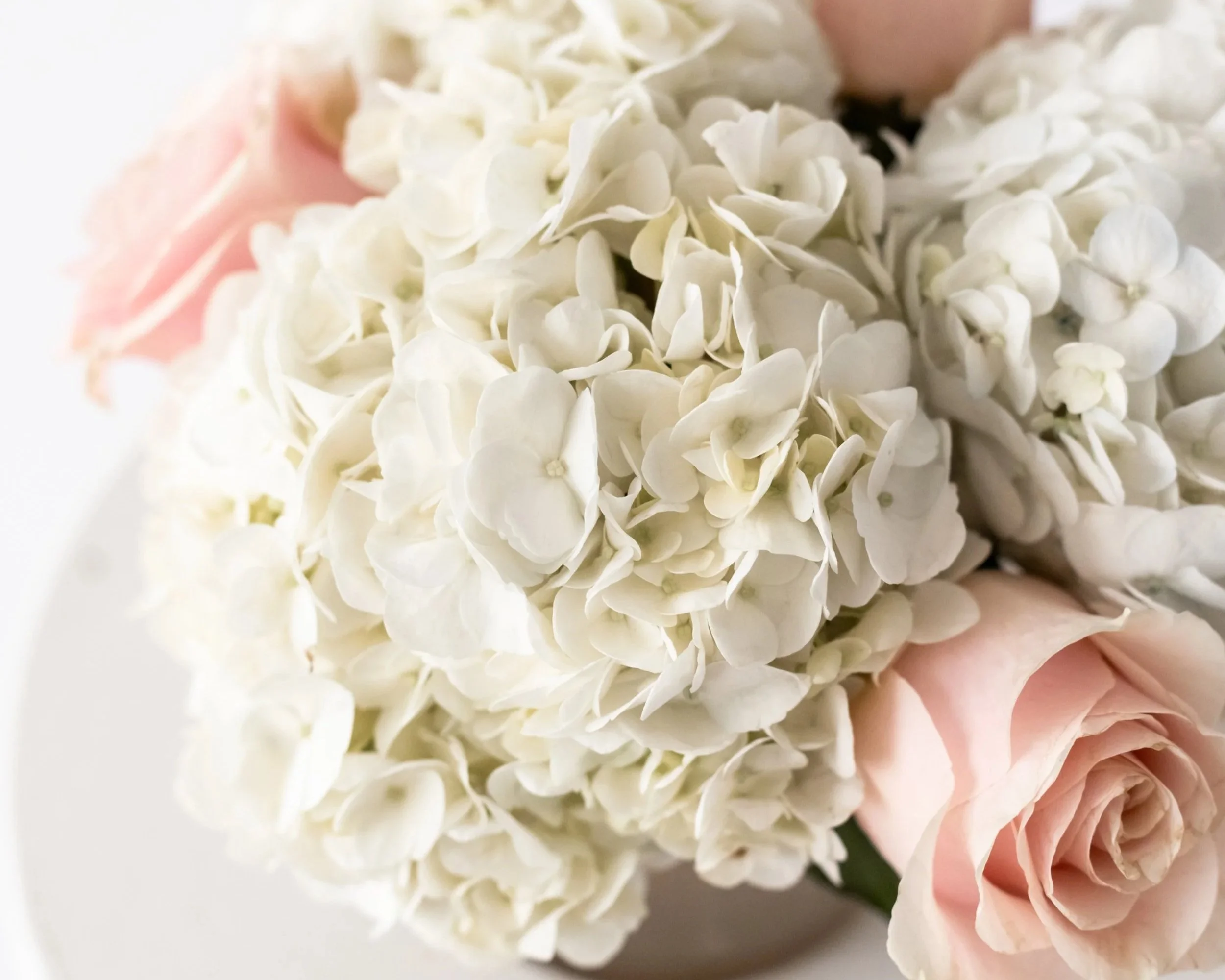 Modern Etiquette for Giving and Receiving Genuine Compliments