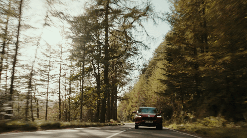 HONDA AUTUMN