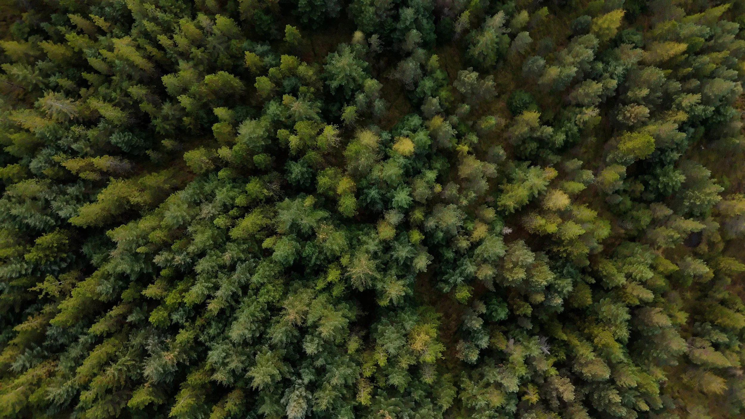 AutumnFrames24.jpg