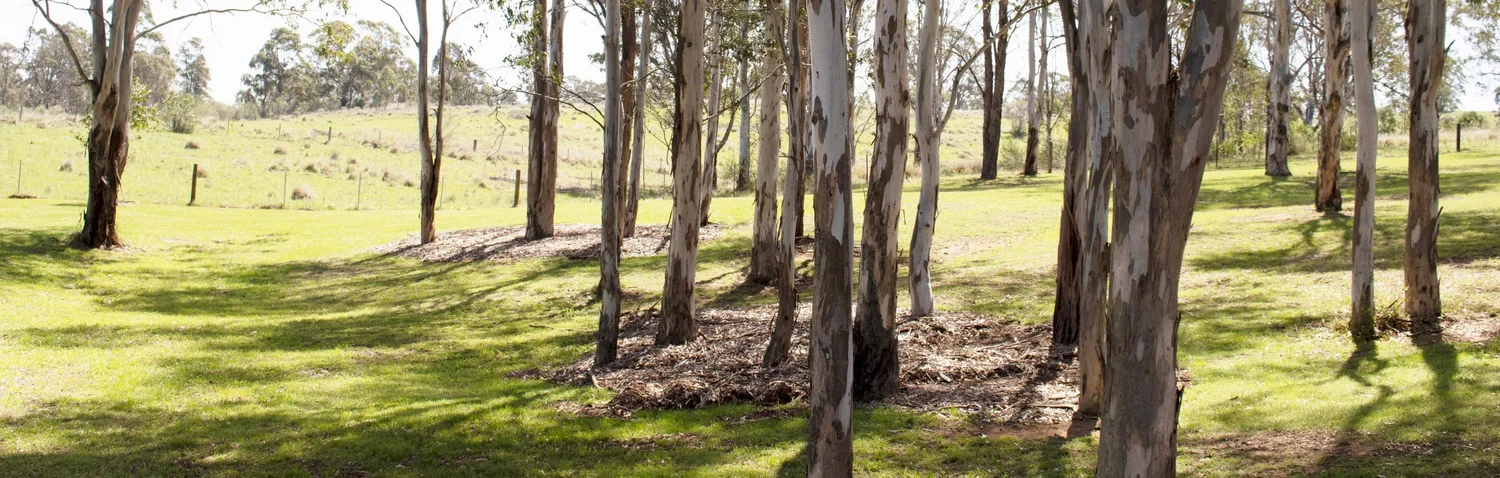 Carmelite Retreat Program Mt Carmel Retreat Centre