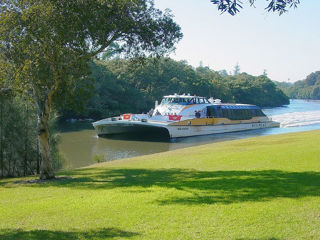 rivercat parar.jpeg